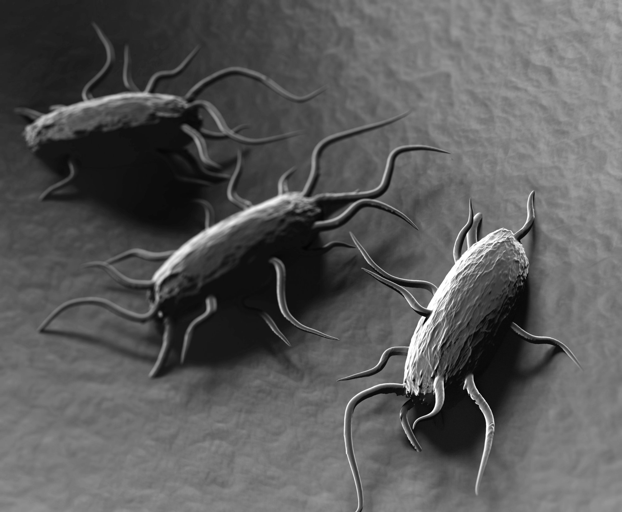 Listeria monocytogenes - Illustration: Giovanni Cancemi/Depositphotos.com